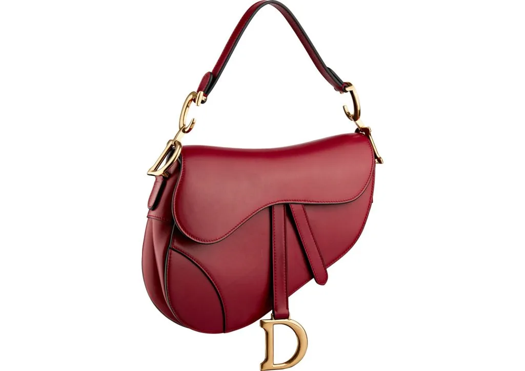 túi yên ngựa Saddle Dior 4