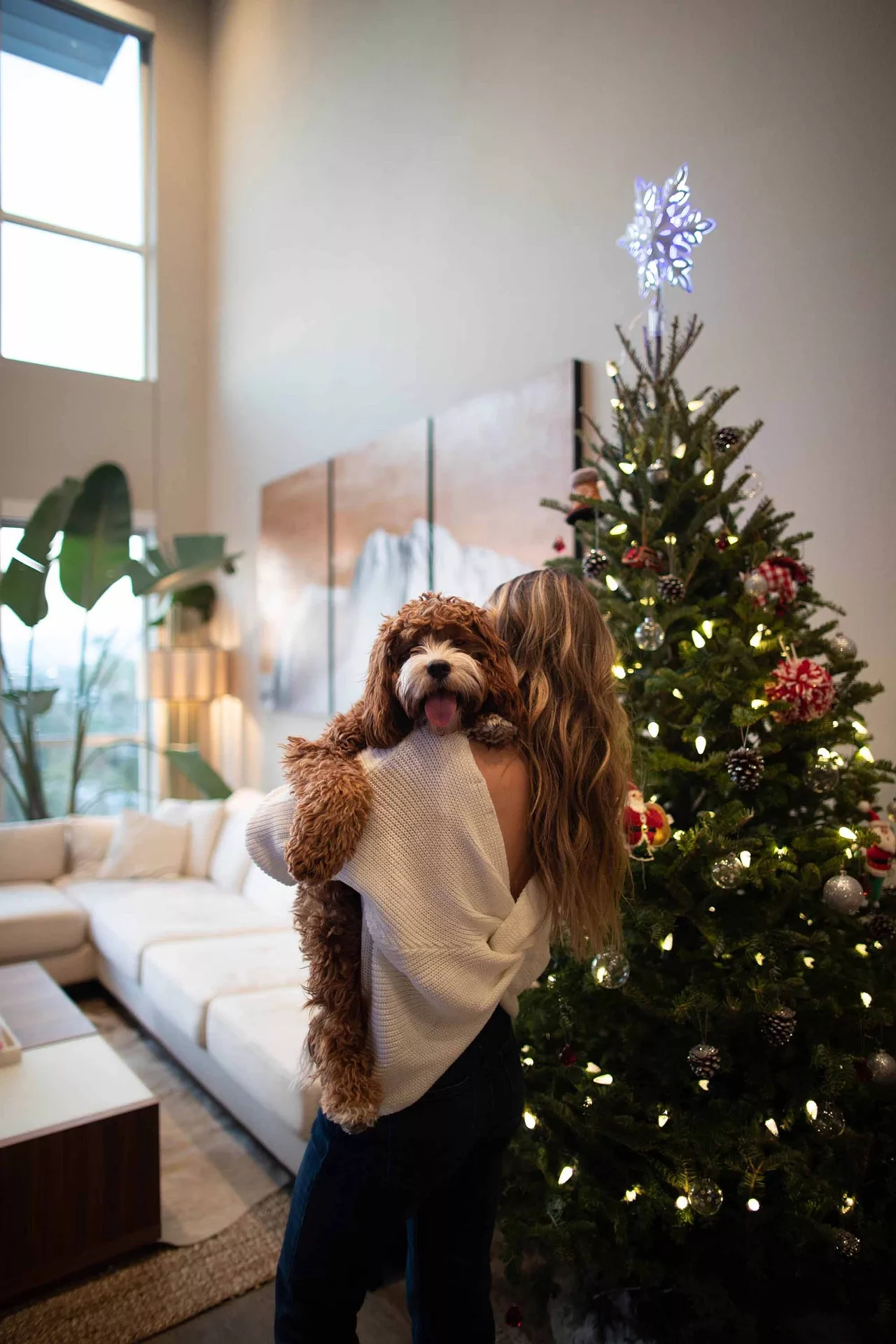 CÔ GÁI MỪNG NOEL