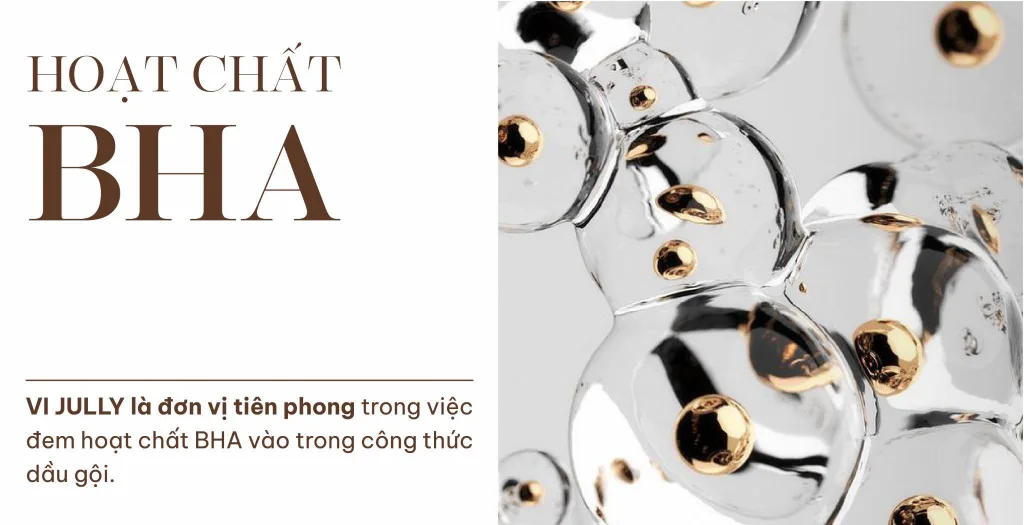 VIJULLY dầu gội chăm sóc tóc chứa thành phần BHA VIJULLY dầu gội chăm sóc tóc chứa thành phần BHA