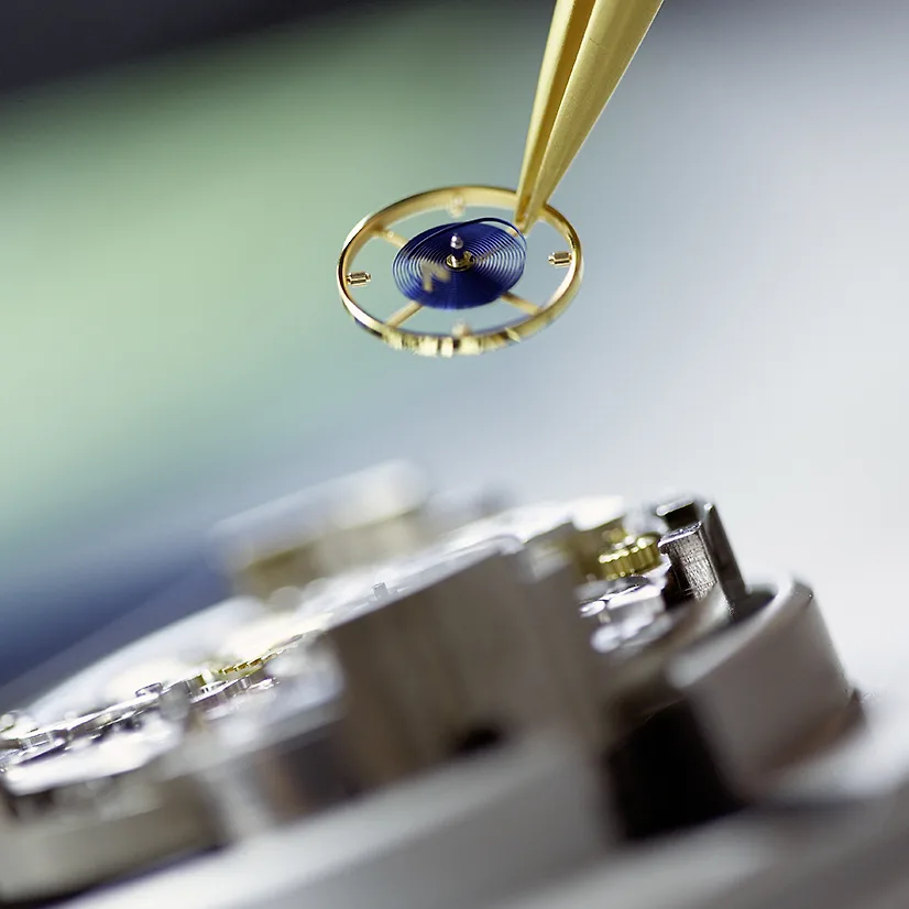 Rolex 5 Rolex 5