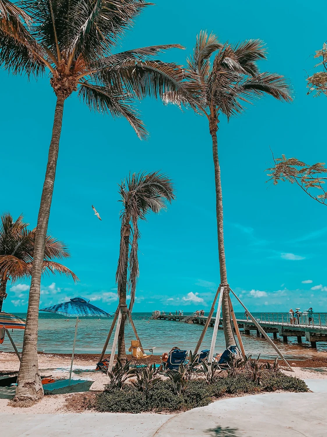 cung hoàng đạo key west