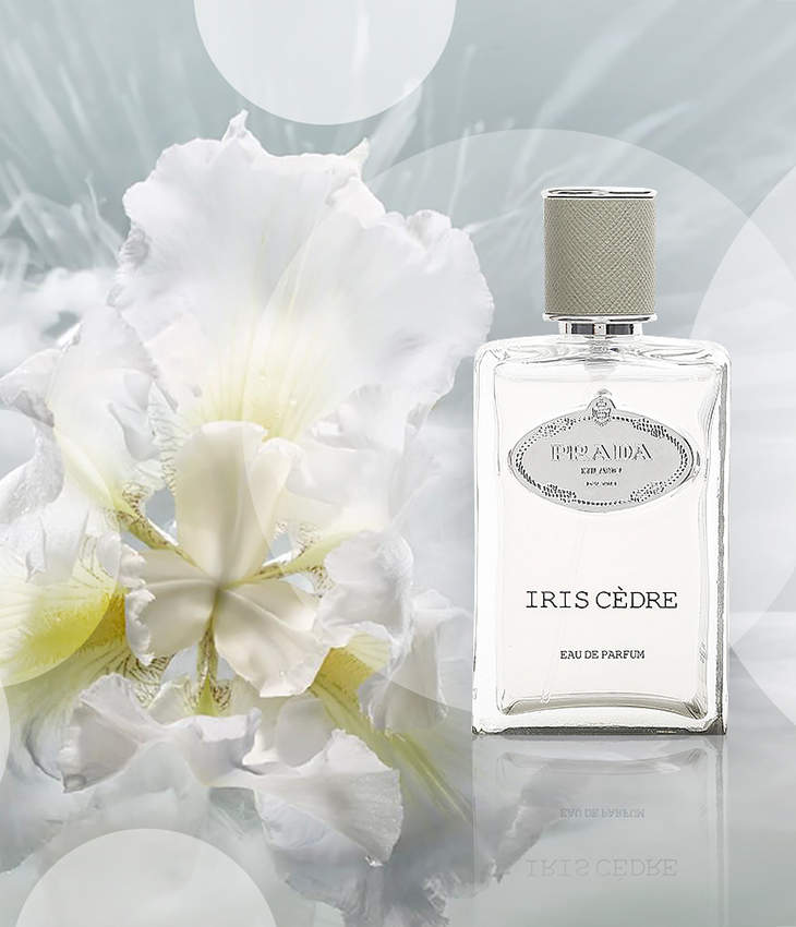 hương nước hoa mới Prada Infusion De Vetiver hương nước hoa mới Prada Infusion De Vetiver