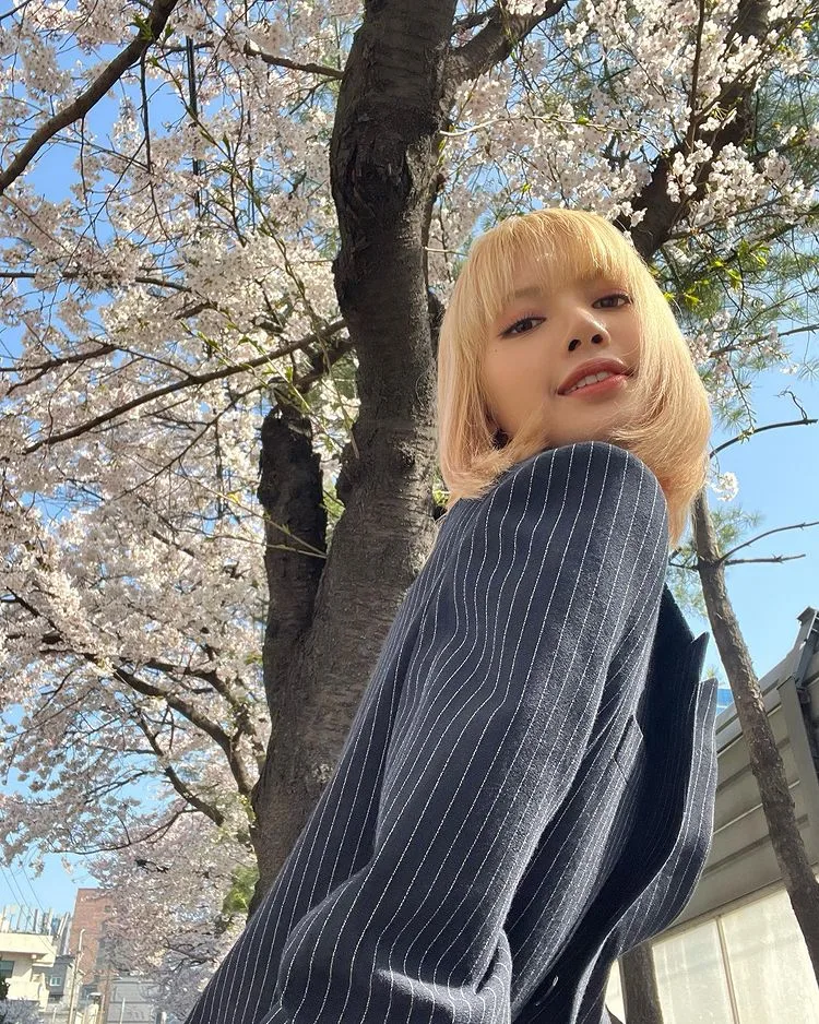 Lisa BlackPink Lisa BlackPink