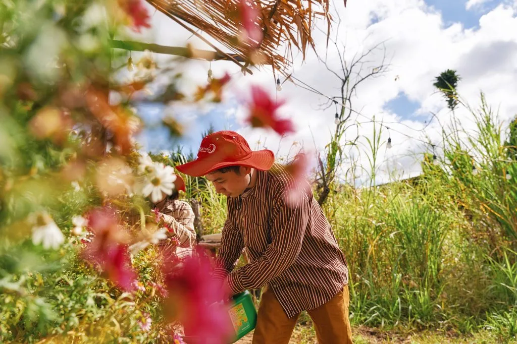 Đà Lạt đi làm nông trại Đà Lạt đi làm nông trại