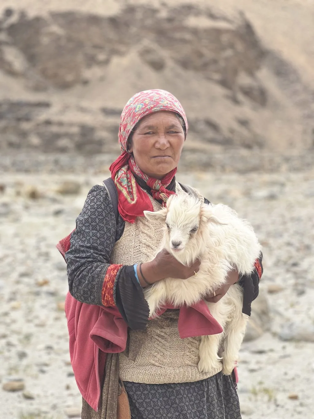 ladakh người du mục ladakh người du mục