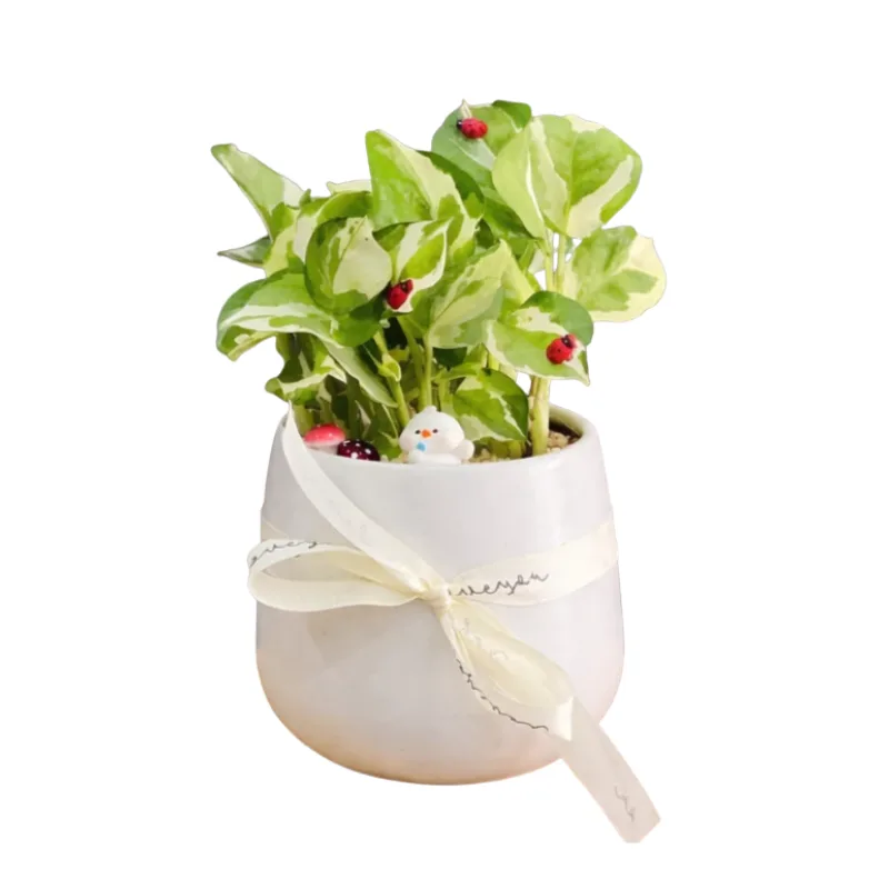 Untitled design - 2026-06-01T064343.738.png