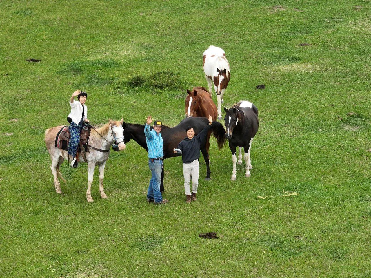 thiên nhiên cowboy chính hiệu thiên nhiên cowboy chính hiệu