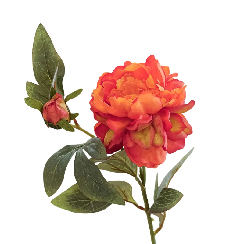 Cành Hoa Mẫu Đơn 1 Bông 1 Nụ Nhiều Màu Lụa La Floresta.png