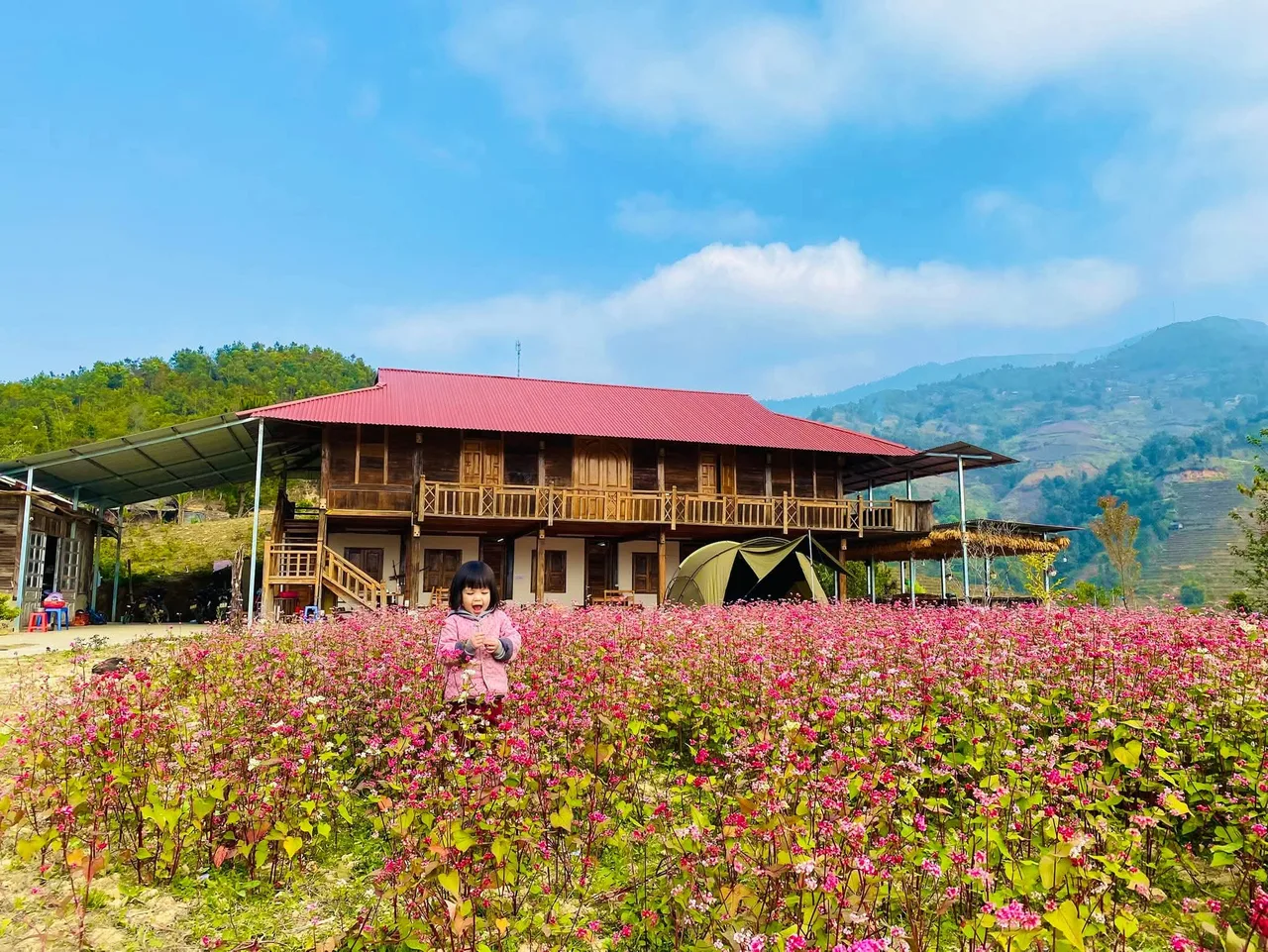 Homestay Mù Cang Chải Dream House