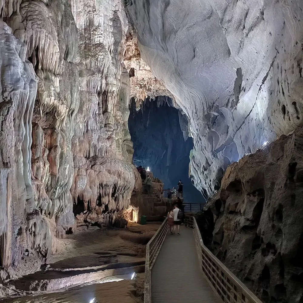 động phong nha