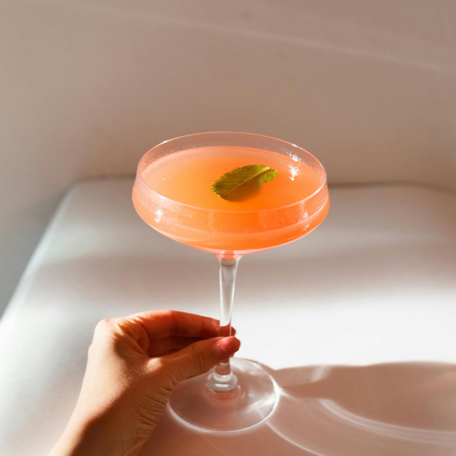 Cocktail.