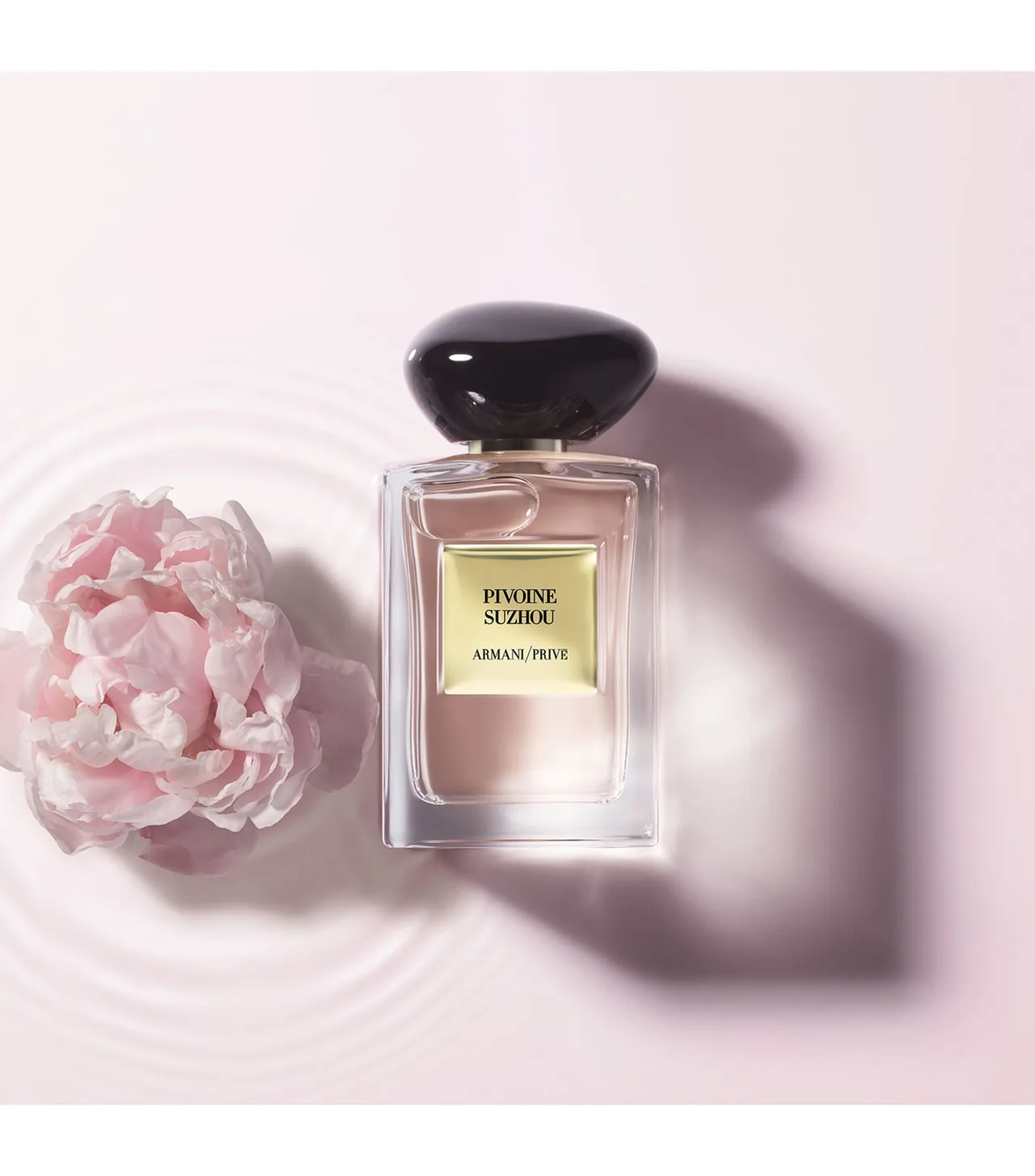 hoa mẫu đơn nước hoa armani hoa mẫu đơn nước hoa armani