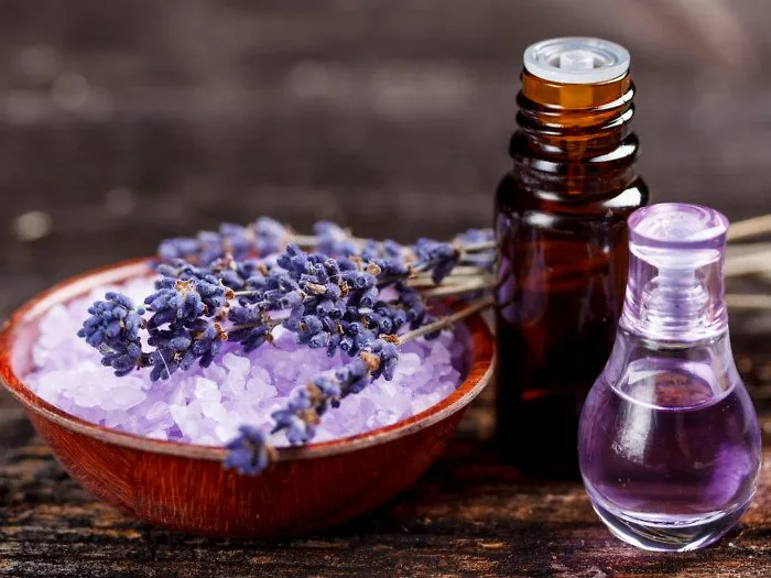 chữa cháy nắng oải hương