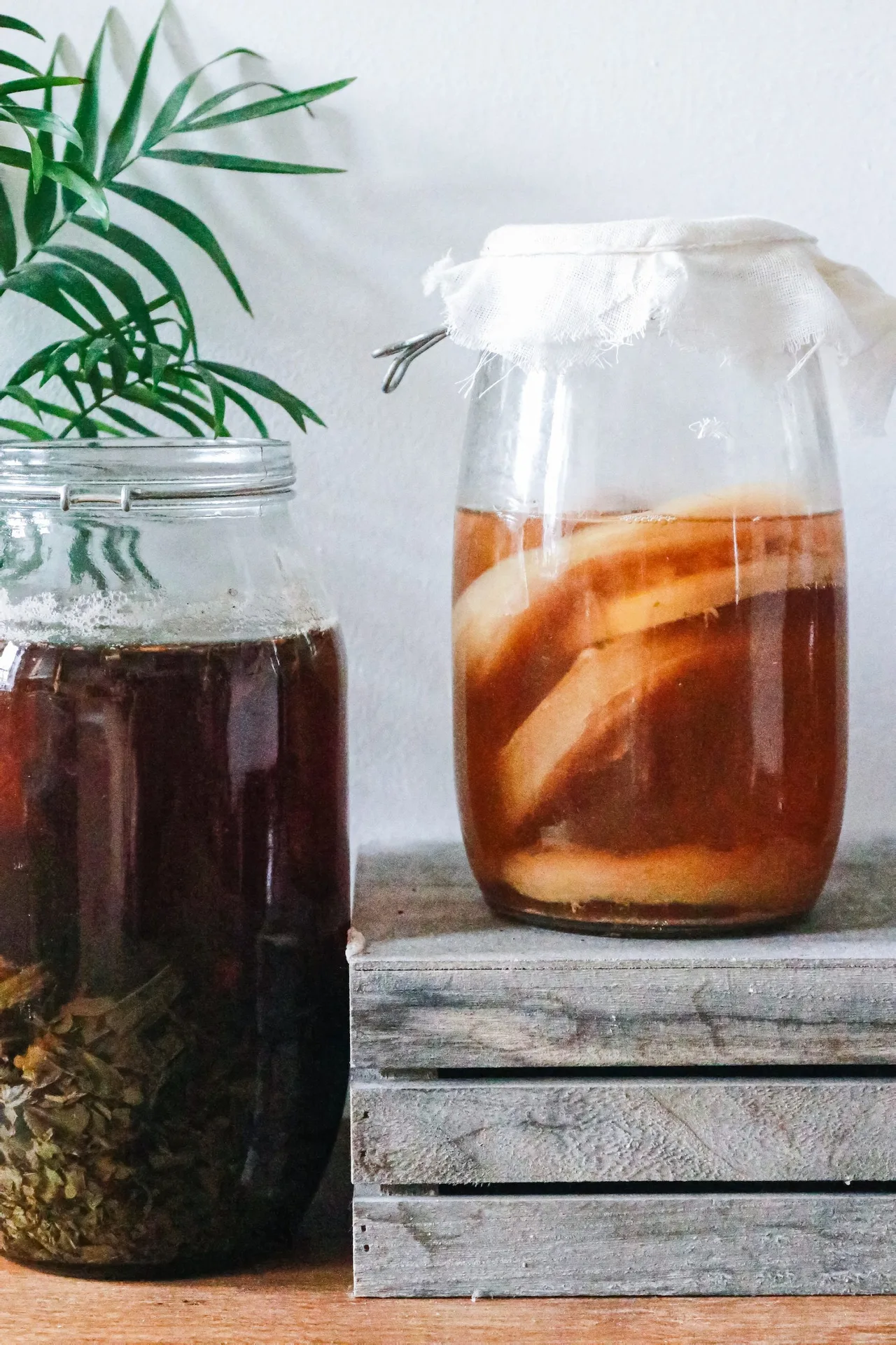 Uống trà lên men Kombucha khi tới tháng Uống trà lên men Kombucha khi tới tháng