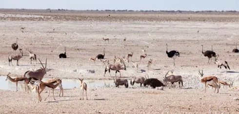 Du lich Namibia tieng goi noi hoang da 8
