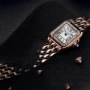 Panthère de Cartier 9