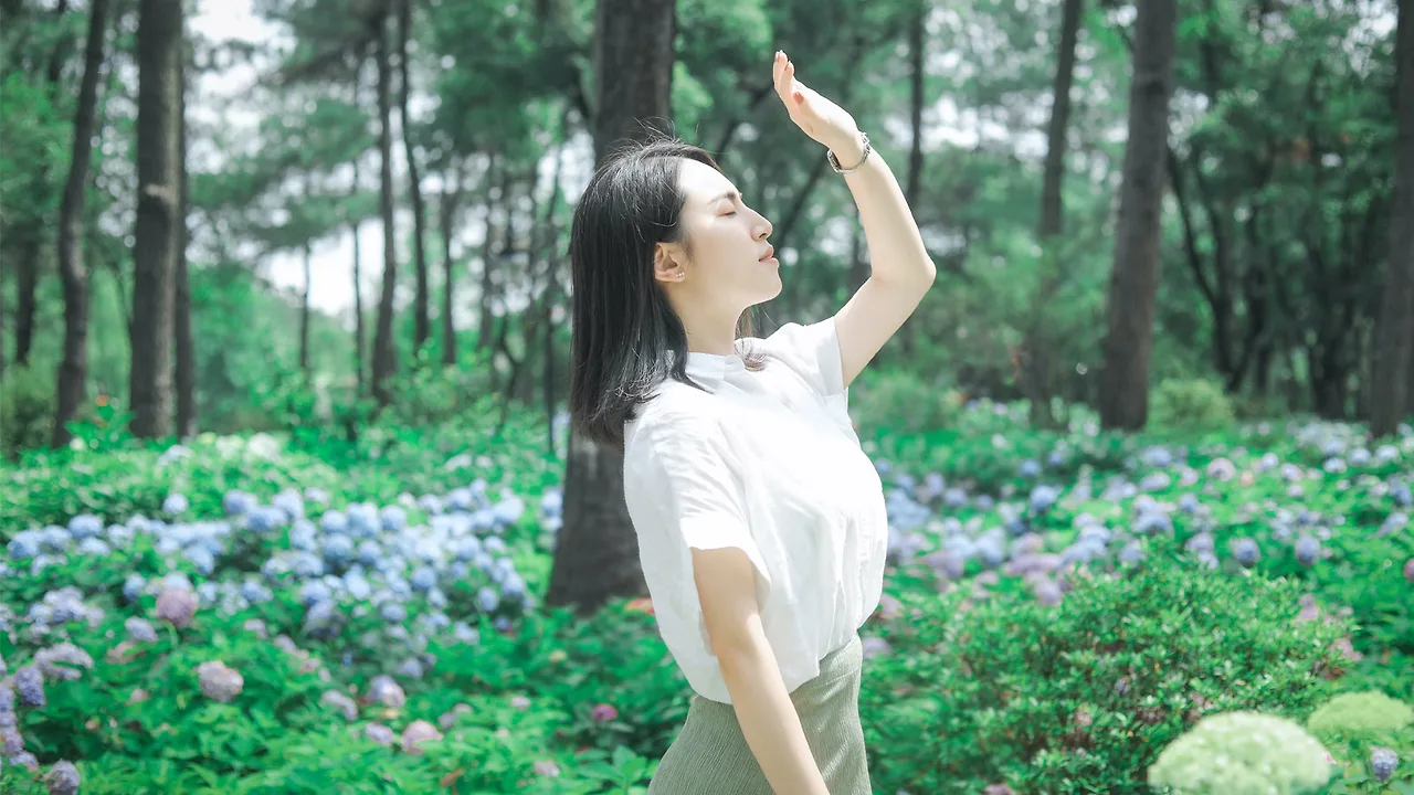 Bài viết liên quan