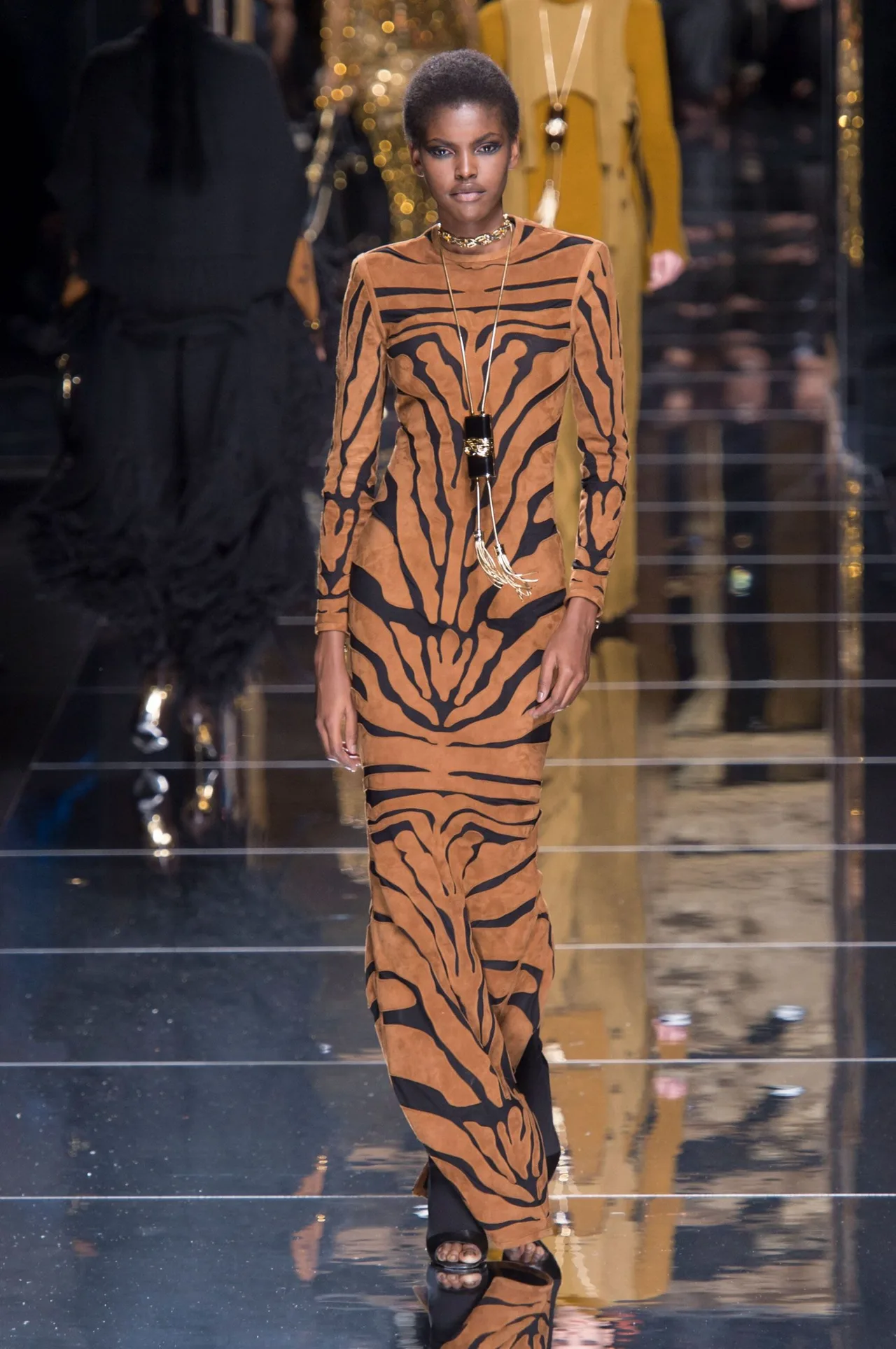 thiết kế hổ Balmain ready-to-wear Thu-Đông 2017