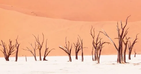 Du lich Namibia tieng goi noi hoang da 4