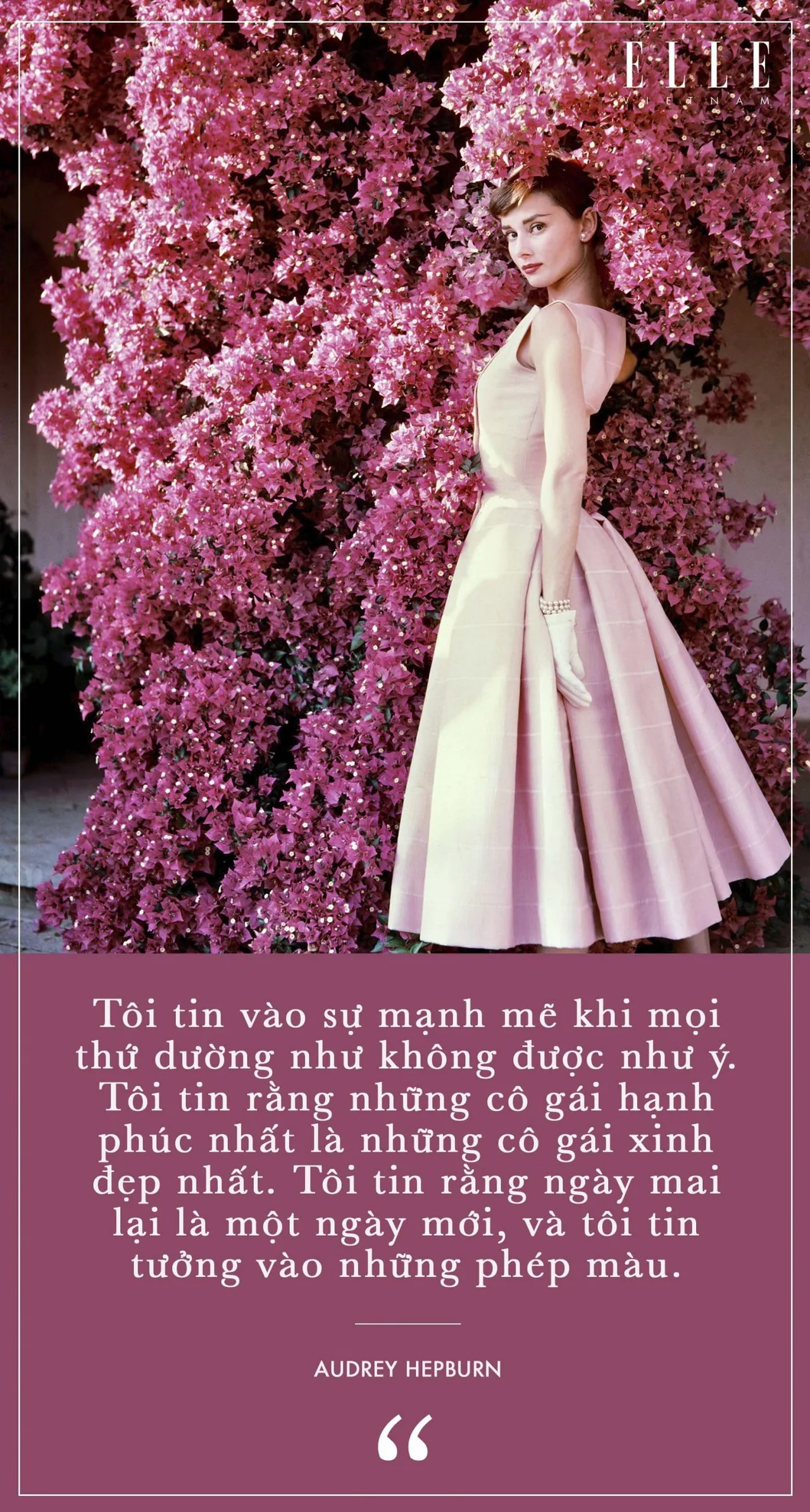 diễn viên Audrey Hepburn 4