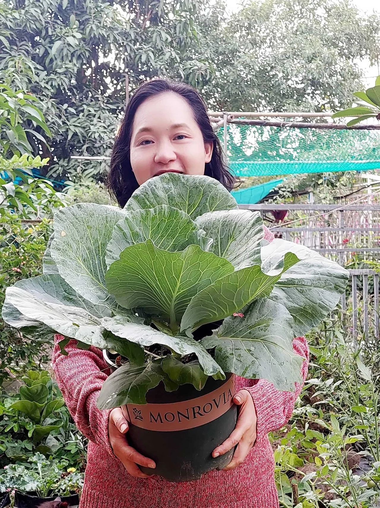 bán nông thành phẩm của Uyên bán nông thành phẩm của Uyên