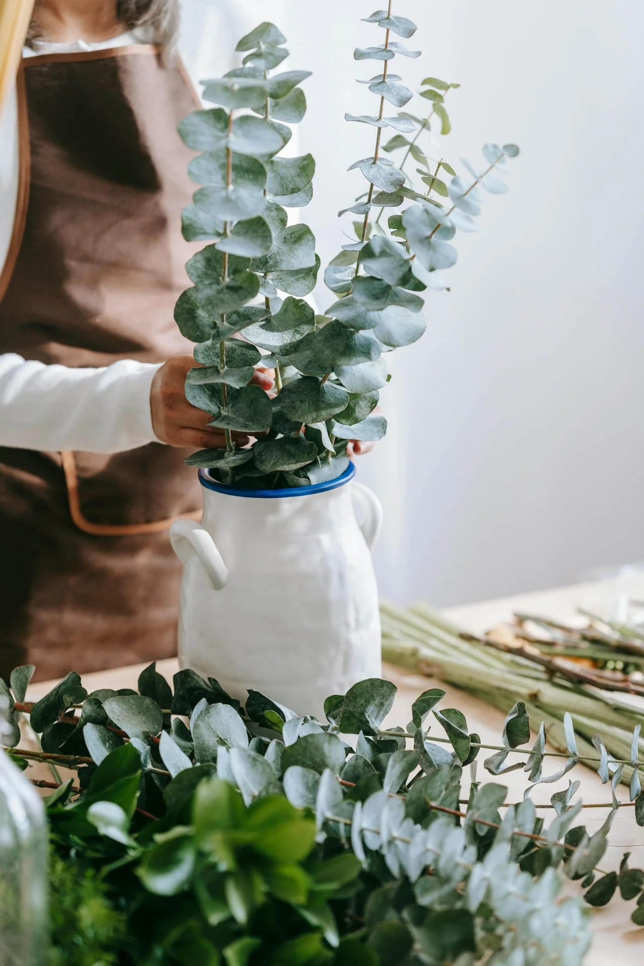 Khuynh diệp là cây phong thủy gắn với năng lượng chữa lành.