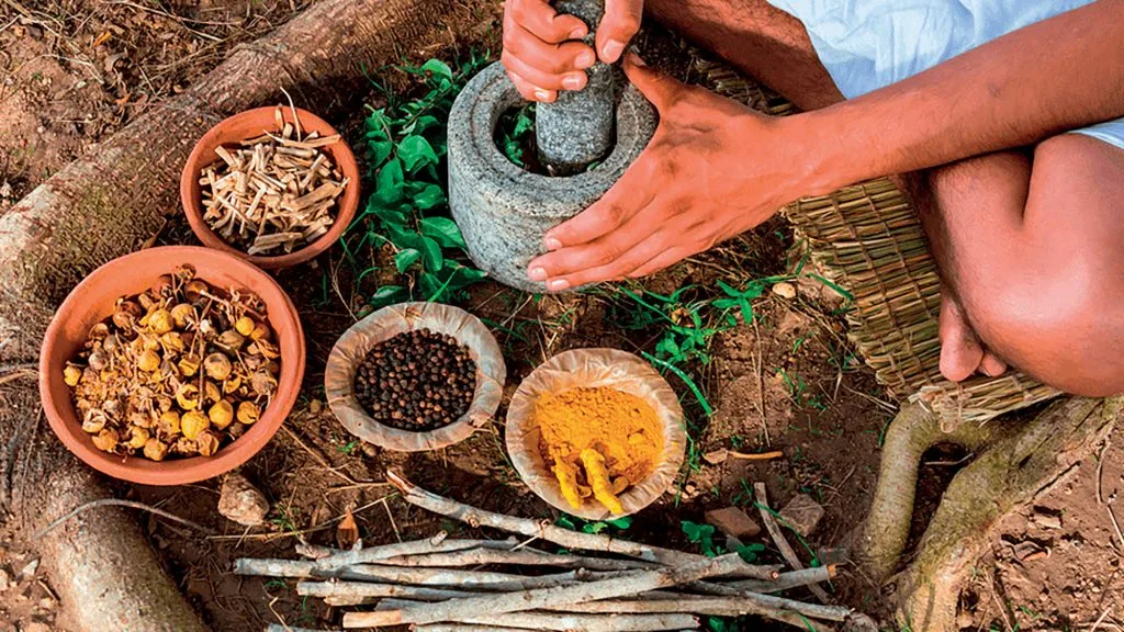 địa điểm khu vườn thuốc Maya địa điểm khu vườn thuốc Maya