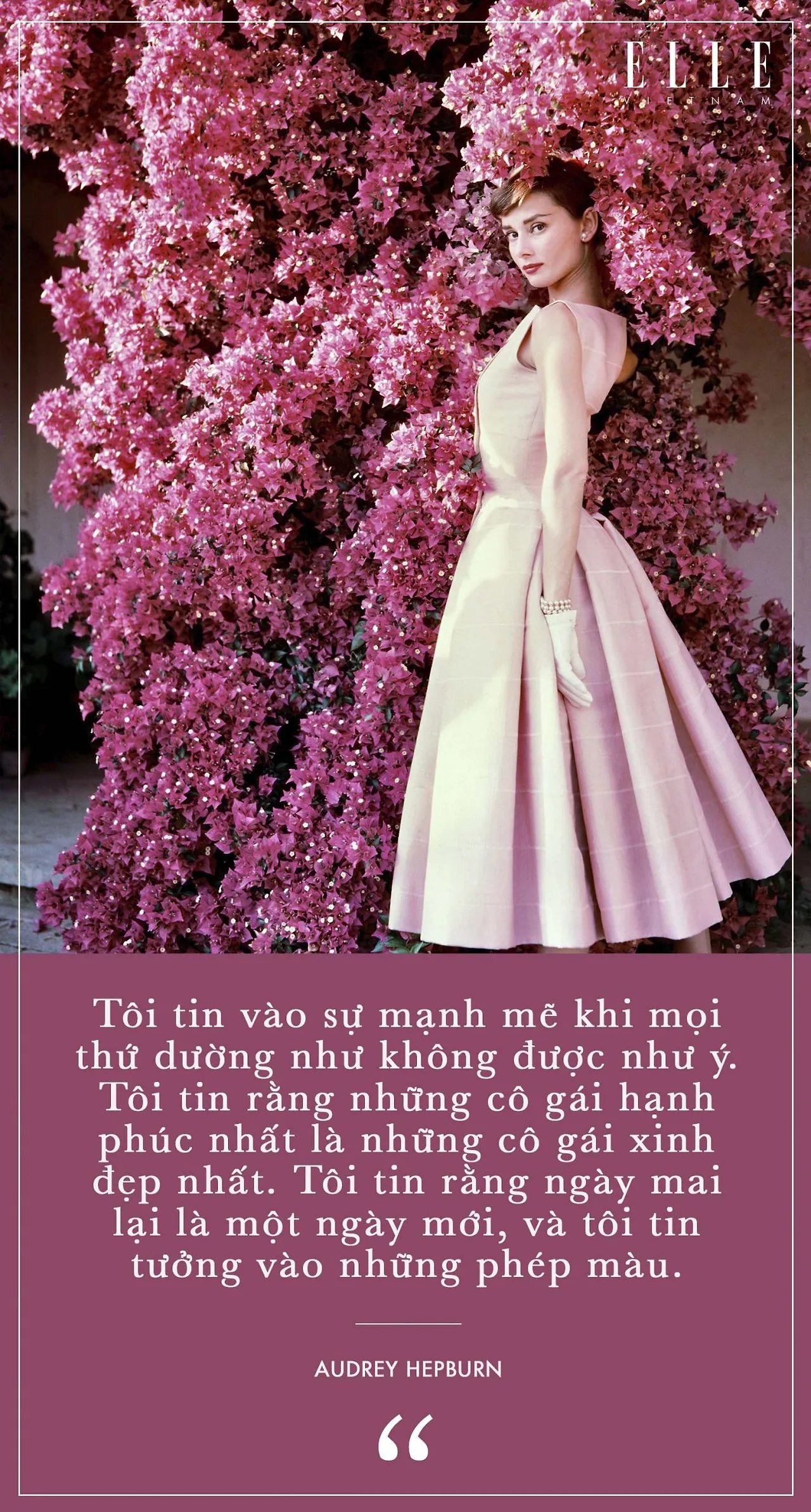 diễn viên Audrey Hepburn 4