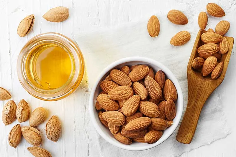 Son dưỡng môi từ mật ong và tinh dầu hạnh nhân Son dưỡng môi từ mật ong và tinh dầu hạnh nhân