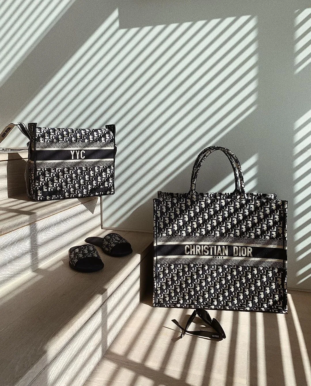 túi xách dior tote đen trắng