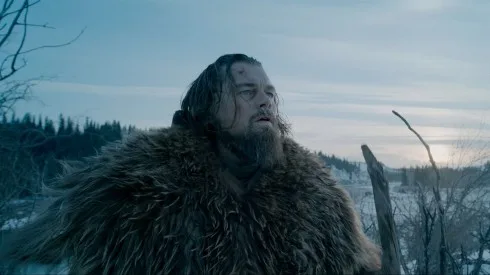 Leonardo DiCaprio 1