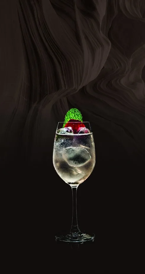 Sofitel Plaza Hanoi - Ciroc brown