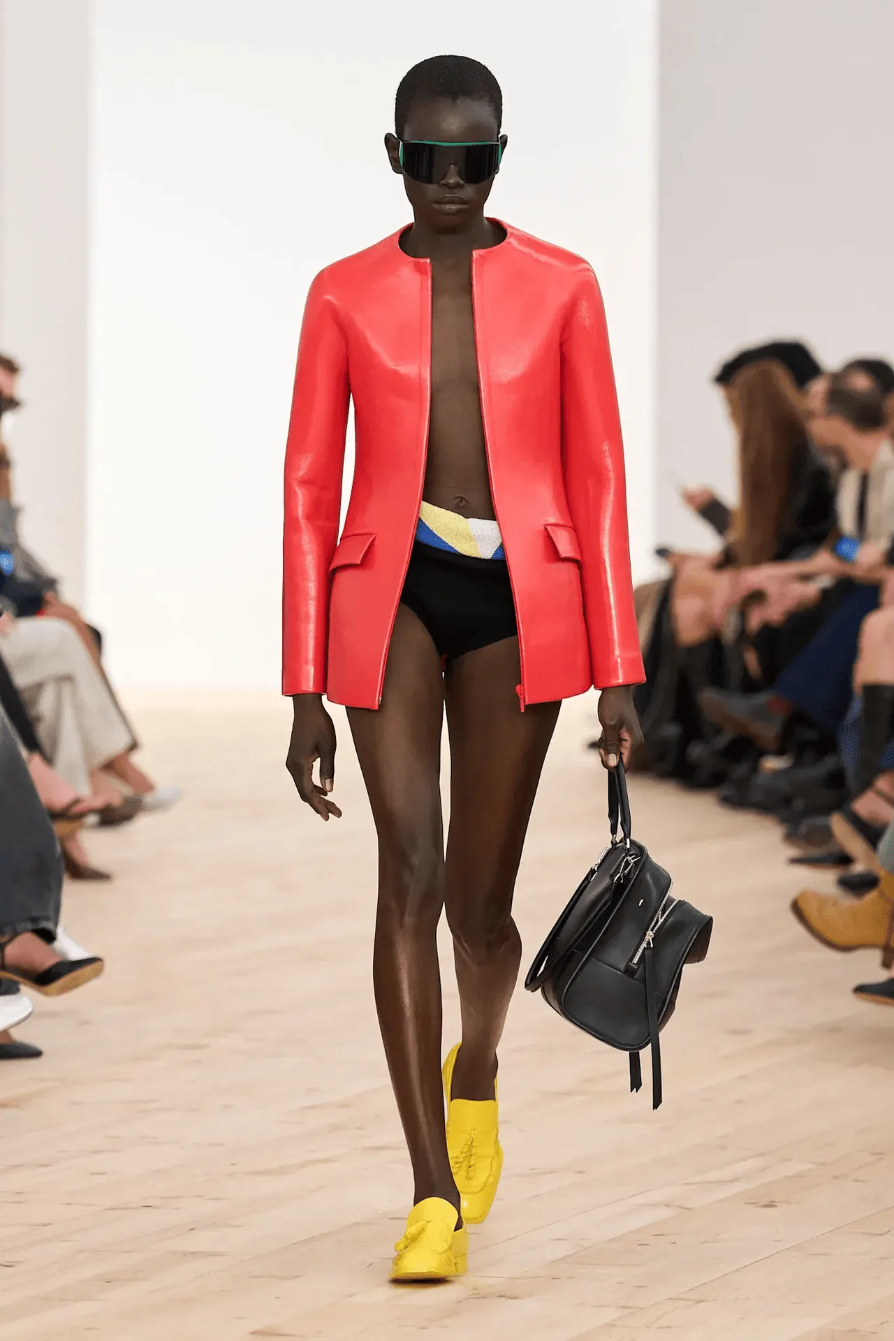 túi loewe amazona