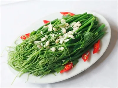 Du lịch Sapa - Rau xanh Sa Pa