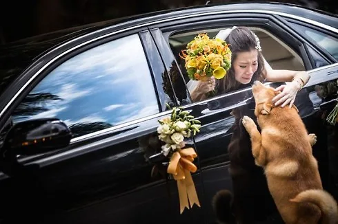 Bức ảnh "Family Love" gây xúc động.