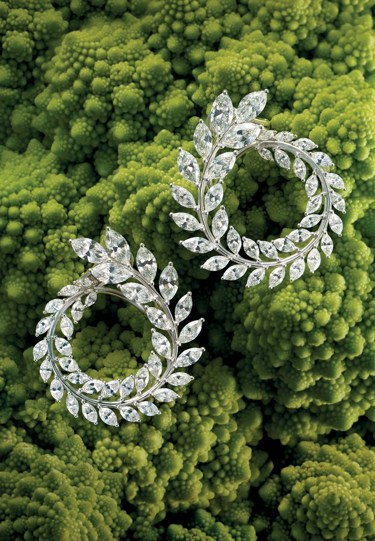 trang sức cao cấp của thương hiệu Chopard trang sức cao cấp của thương hiệu Chopard