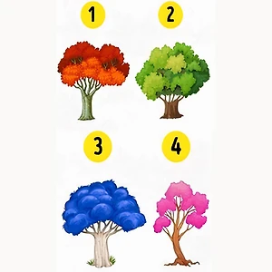 trắc nghiệm cây tiết lộ cảm xúc chi phối