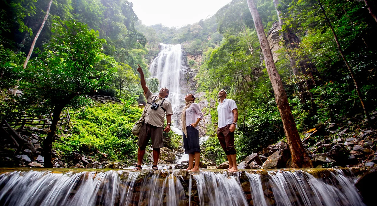 Bạn có thể book một tour nhỏ đi thăm thú các loài động vật hoang dã như khỉ, đại bàng, chim mỏ sừng, hay tham gia trò chơi thể thao dưới nước.
