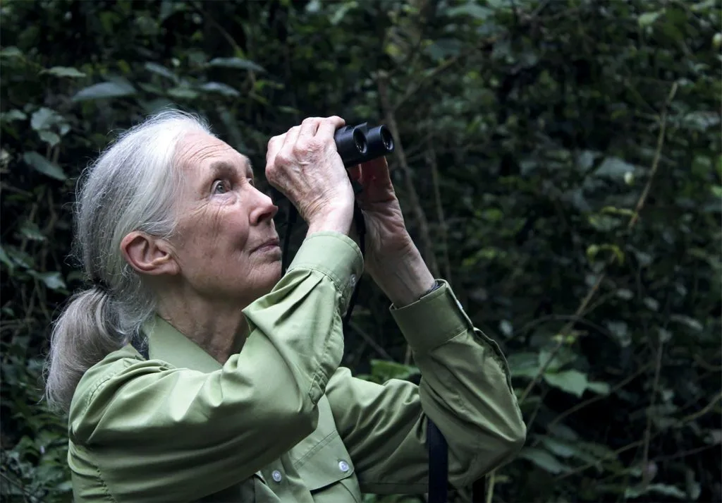 Jane Goodall bảo vệ môi trường Jane Goodall bảo vệ môi trường