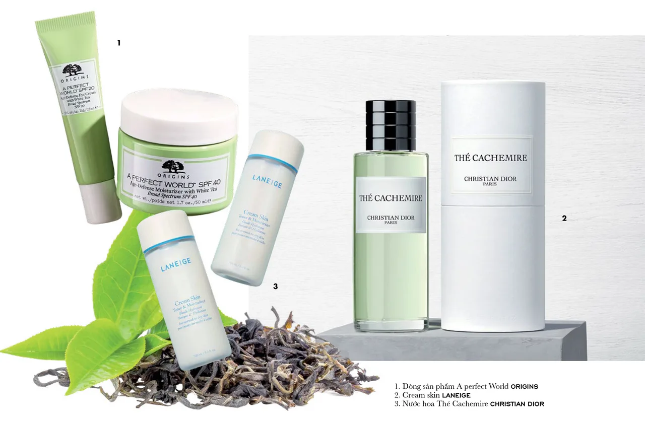 trà xanh sản phẩm từ bạch trà trà xanh sản phẩm từ bạch trà