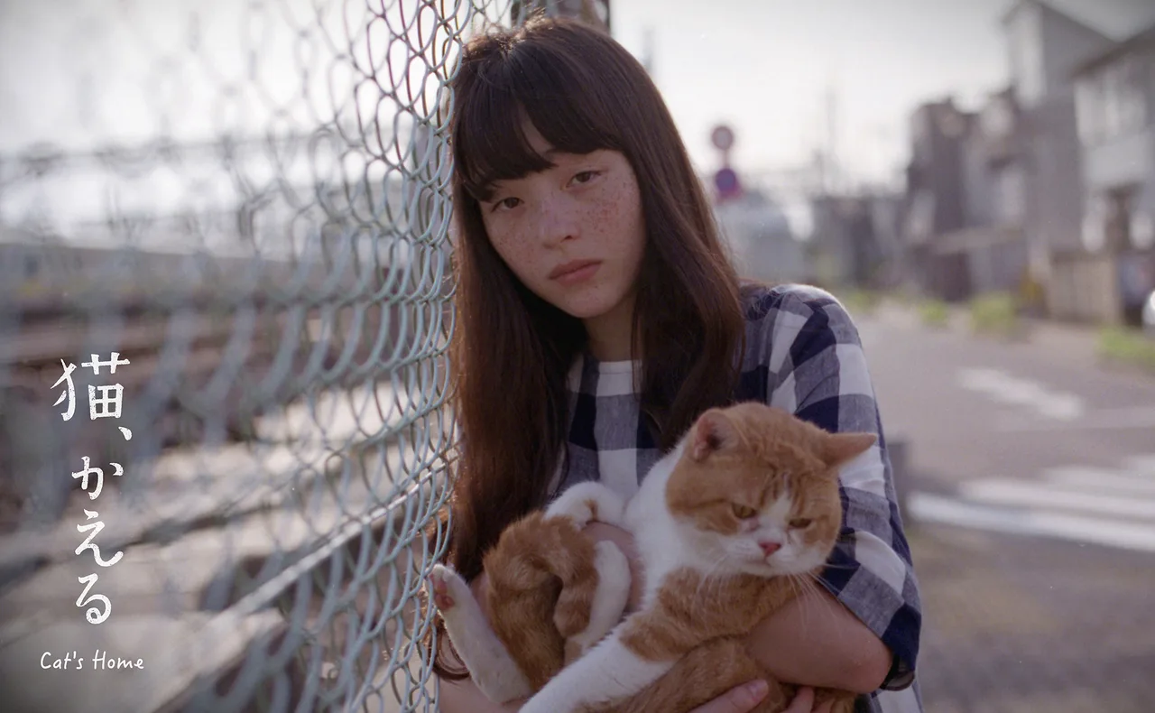 phim nhật cho hội cuồng mèo neko kaeru cats home