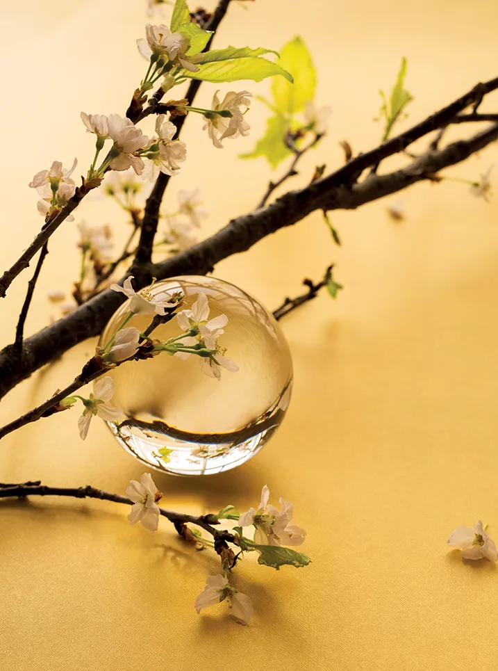 thiền định 1 thiền định 1