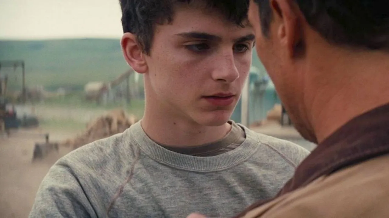timothée chalamet áo xám trong phim interstellar