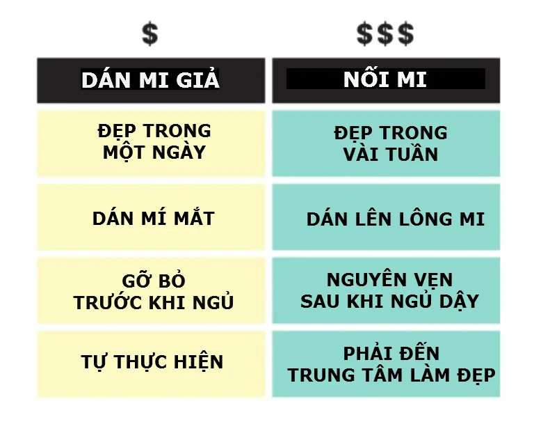 10 điều bạn cần biết về phương pháp nối mi ELLE VN