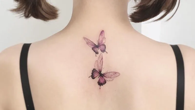 hình xăm đôi bướm sau lưng hình xăm đôi bướm sau lưng