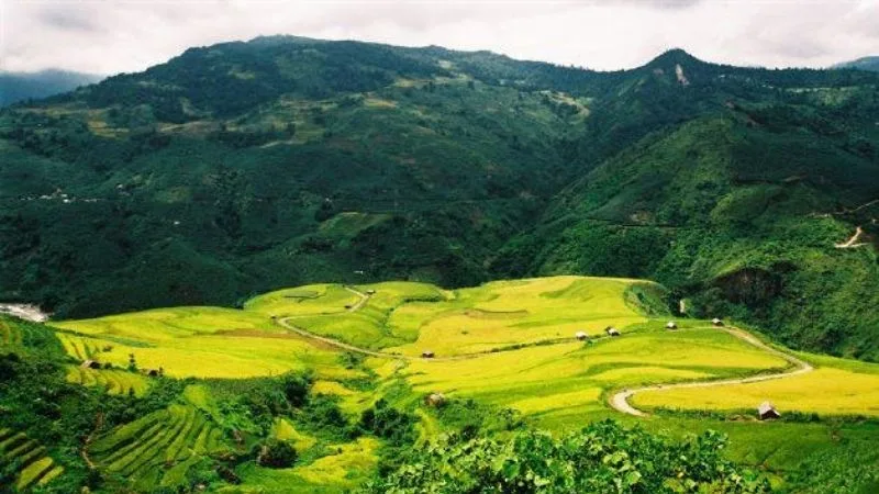 du lịch cánh đồng mường than