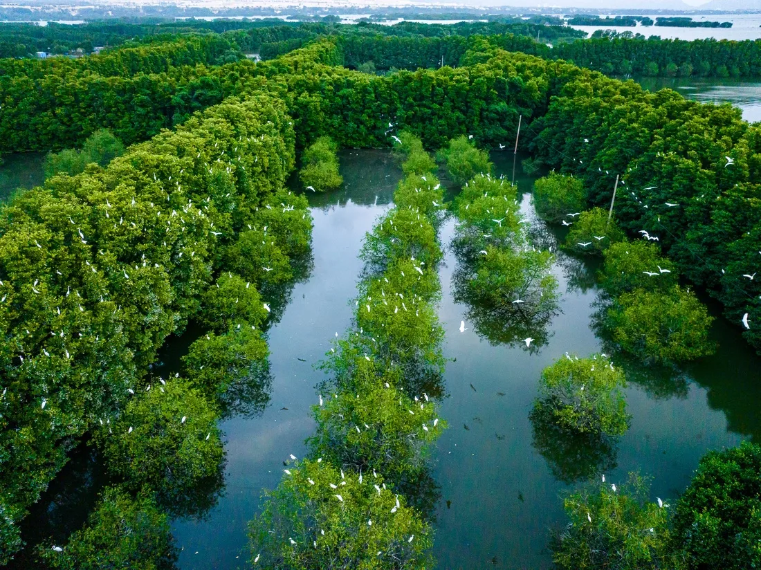 Cồn Chim du lịch Quy Nhơn