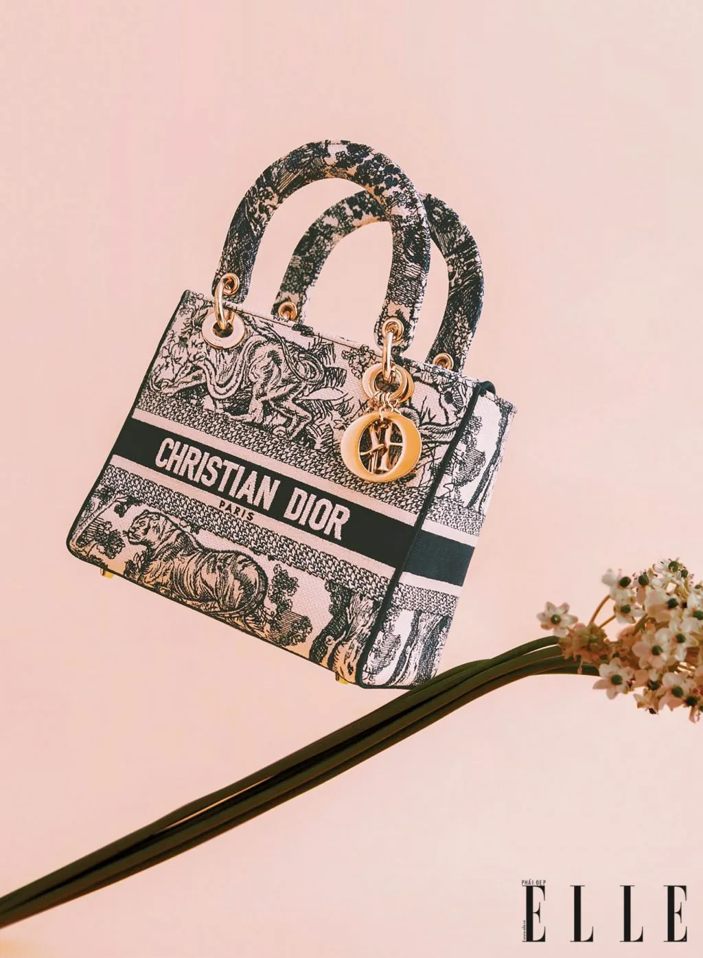 phụ kiện túi lady dior dlite túi xách lady dior dlite