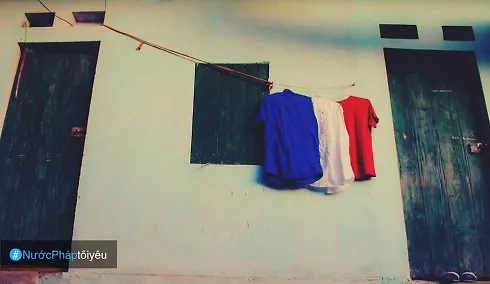 - MS 051: Đinh Như Chiến