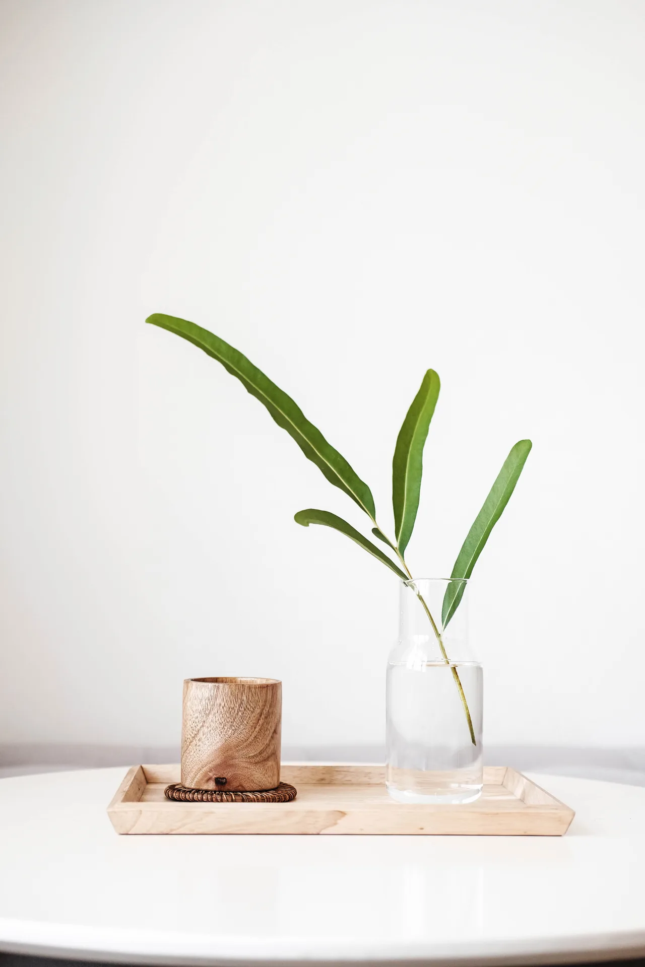 trắc nghiệm ly nước gỗ